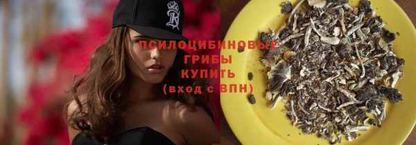 бошки Инсар
