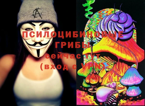 соль ск Иннополис
