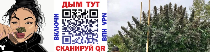 Купить закладки  Демидов  МАРИХУАНА THC 21% 